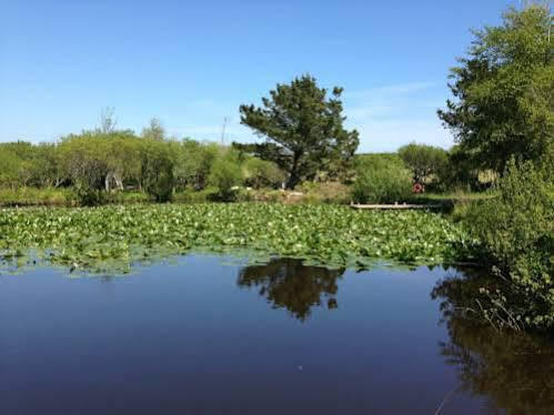 崔根湖泊山林小屋 坎伯恩 外观 照片
